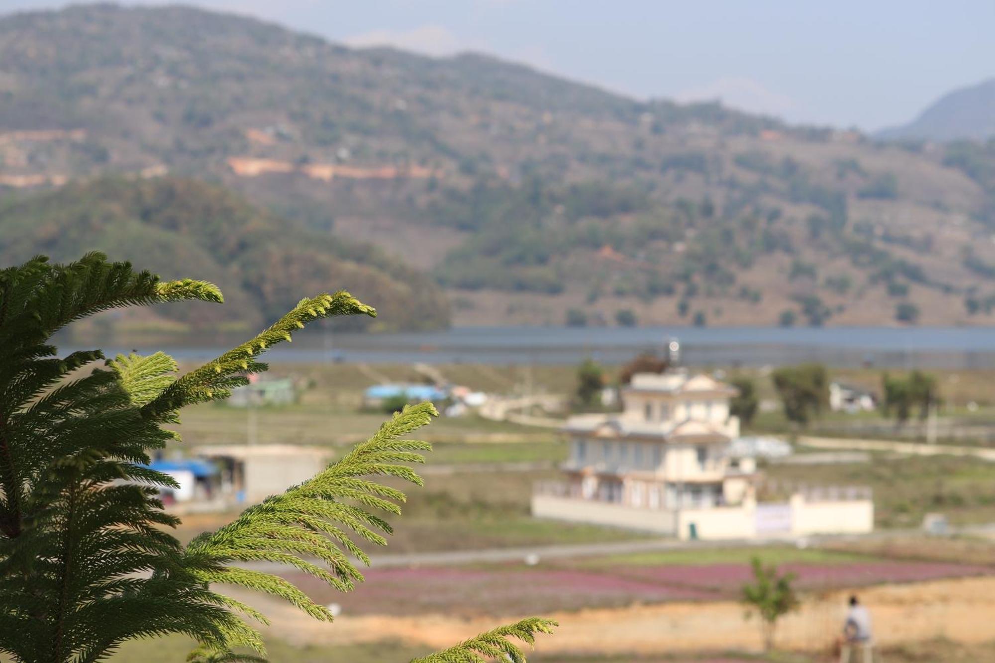 Hotel Young's Stupa Ranipauwa Bagian luar foto